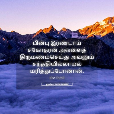 Picture 05 - லூக்கா 20:30 TAMIRV - பின்பு இரண்டாம் - Bible Verse Picture