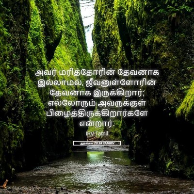 Picture 05 - லூக்கா 20:38 TAMIRV - அவர் மரித்தோரின் - Bible Verse Picture