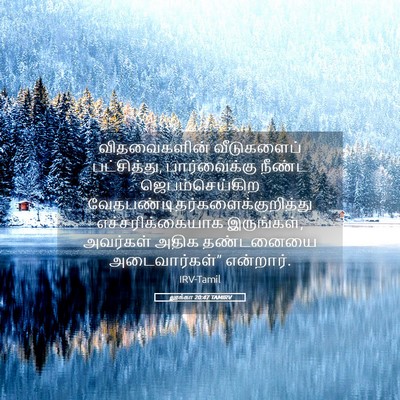 Picture 05 - லூக்கா 20:47 TAMIRV - விதவைகளின் - Bible Verse Picture
