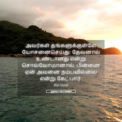 Picture 05 - லூக்கா 20:5 TAMIRV - அவர்கள் - Bible Verse Picture