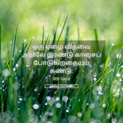 Picture 05 - லூக்கா 21:2 TAMIRV - ஒரு ஏழை விதவை - Bible Verse Picture