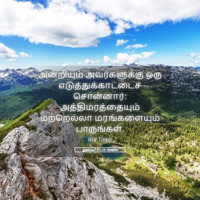 Picture 05 - லூக்கா 21:29 TAMIRV - அன்றியும் - Bible Verse Picture