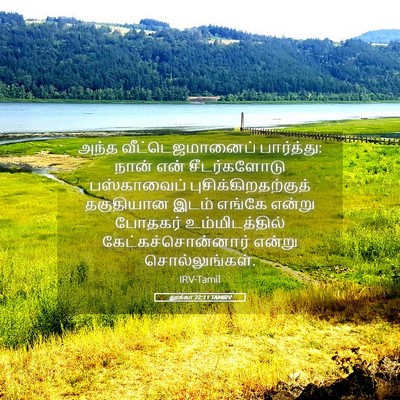 Picture 05 - லூக்கா 22:11 TAMIRV - அந்த - Bible Verse Picture