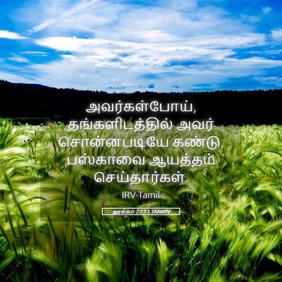 Picture 05 - லூக்கா 22:13 TAMIRV - அவர்கள்போய், - Bible Verse Picture