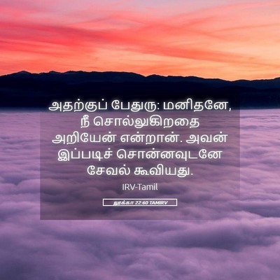 Picture 05 - லூக்கா 22:60 TAMIRV - அதற்குப் பேதுரு: - Bible Verse Picture