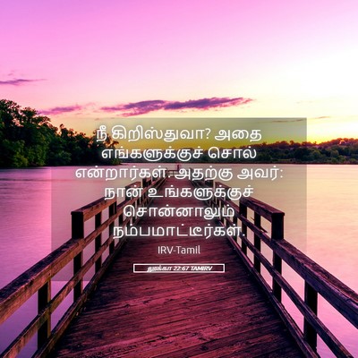 Picture 05 - லூக்கா 22:67 TAMIRV - நீ கிறிஸ்துவா? அதை - Bible Verse Picture