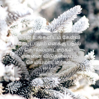 Picture 05 - லூக்கா 22:68 TAMIRV - நான் உங்களிடம் - Bible Verse Picture