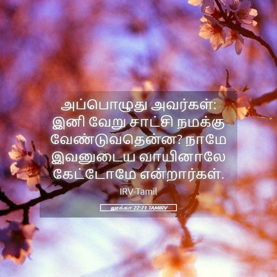 Picture 05 - லூக்கா 22:71 TAMIRV - அப்பொழுது - Bible Verse Picture