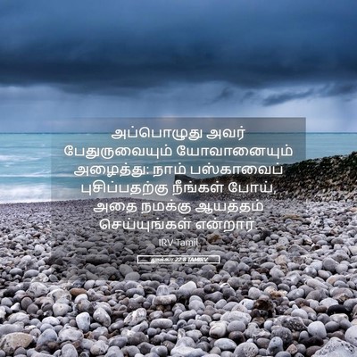 Picture 05 - லூக்கா 22:8 TAMIRV - அப்பொழுது அவர் - Bible Verse Picture