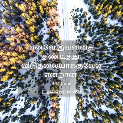 Picture 05 - லூக்கா 23:16 TAMIRV - எனவே இவனைத் - Bible Verse Picture