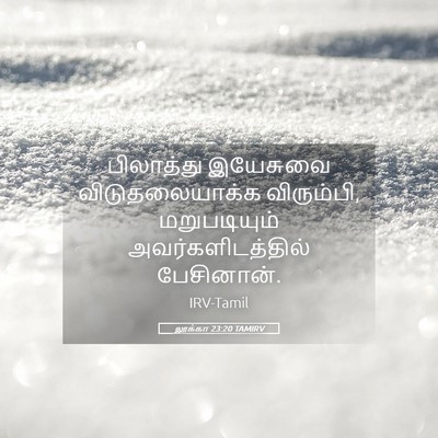 Picture 05 - லூக்கா 23:20 TAMIRV - பிலாத்து இயேசுவை - Bible Verse Picture