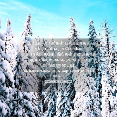 Picture 05 - லூக்கா 23:28 TAMIRV - இயேசு அவர்கள் - Bible Verse Picture