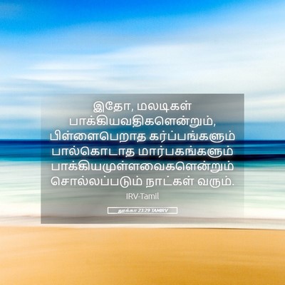 Picture 05 - லூக்கா 23:29 TAMIRV - இதோ, மலடிகள் - Bible Verse Picture