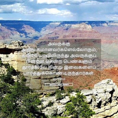 Picture 05 - லூக்கா 23:49 TAMIRV - அவருக்கு - Bible Verse Picture