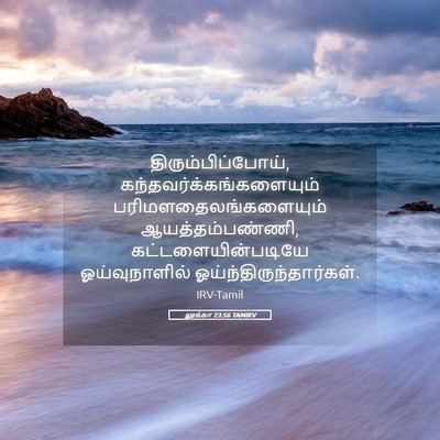 Picture 05 - லூக்கா 23:56 TAMIRV - திரும்பிப்போய், - Bible Verse Picture