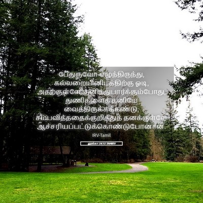 Picture 05 - லூக்கா 24:12 TAMIRV - பேதுருவோ - Bible Verse Picture
