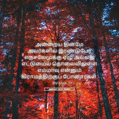 Picture 05 - லூக்கா 24:13 TAMIRV - அன்றைய தினமே - Bible Verse Picture