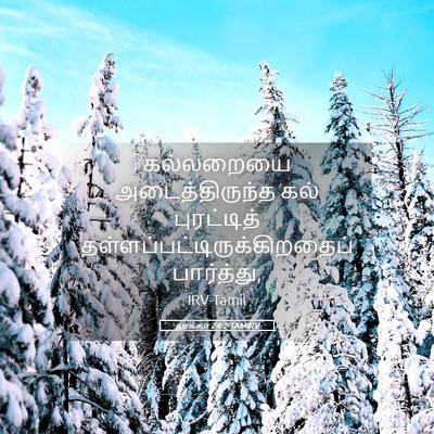 Picture 05 - லூக்கா 24:2 TAMIRV - கல்லறையை - Bible Verse Picture