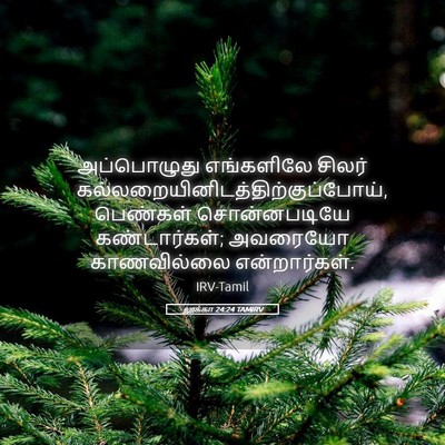 Picture 05 - லூக்கா 24:24 TAMIRV - அப்பொழுது - Bible Verse Picture