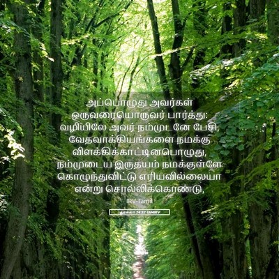 Picture 05 - லூக்கா 24:32 TAMIRV - அப்பொழுது அவர்கள் - Bible Verse Picture