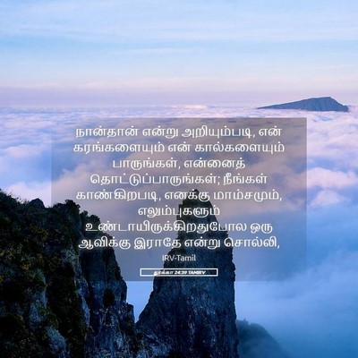 Picture 05 - லூக்கா 24:39 TAMIRV - நான்தான் என்று - Bible Verse Picture