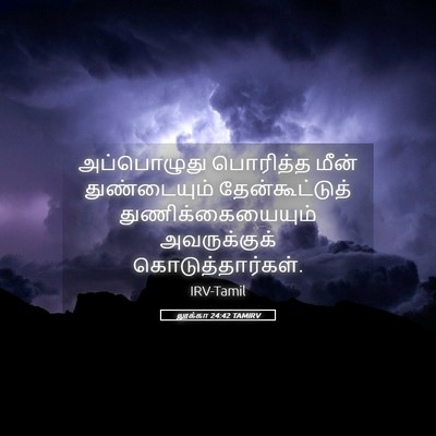 Picture 05 - லூக்கா 24:42 TAMIRV - அப்பொழுது பொரித்த - Bible Verse Picture