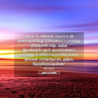Picture 05 - லூக்கா 24:5 TAMIRV - அந்த பெண்கள் - Bible Verse Picture