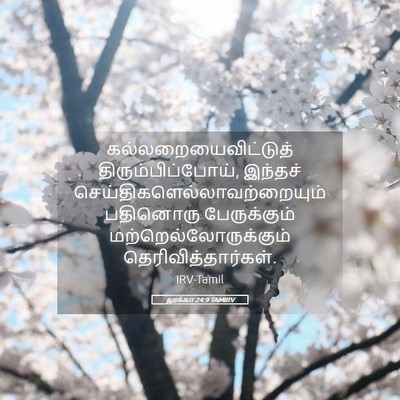Picture 05 - லூக்கா 24:9 TAMIRV - கல்லறையைவிட்டுத் - Bible Verse Picture