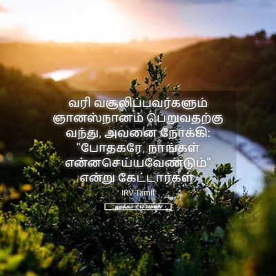 Picture 05 - லூக்கா 3:12 TAMIRV - வரி - Bible Verse Picture