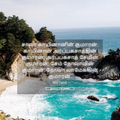 Picture 05 - லூக்கா 3:36 TAMIRV - சாலா காயினானின் - Bible Verse Picture
