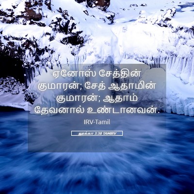 Picture 05 - லூக்கா 3:38 TAMIRV - ஏனோஸ் சேத்தின் - Bible Verse Picture