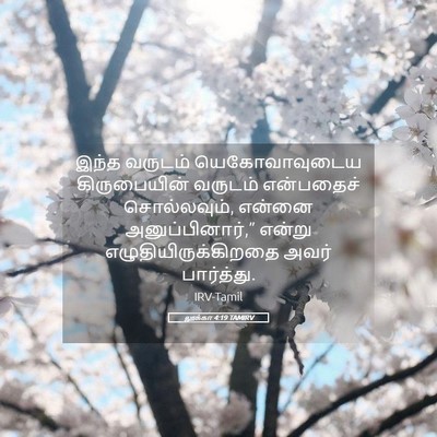 Picture 05 - லூக்கா 4:19 TAMIRV - இந்த வருடம் - Bible Verse Picture