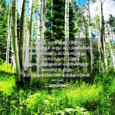 Picture 05 - லூக்கா 4:20 TAMIRV - அதை வாசித்து, - Bible Verse Picture