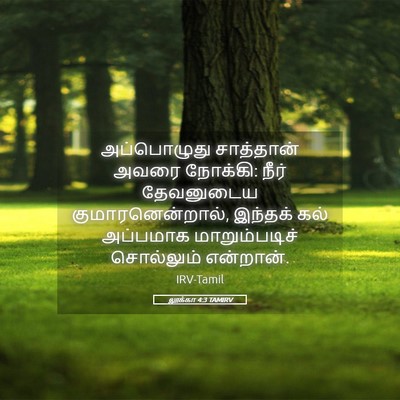 Picture 05 - லூக்கா 4:3 TAMIRV - அப்பொழுது - Bible Verse Picture