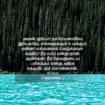 Picture 05 - லூக்கா 4:34 TAMIRV - அவன்: ஐயோ! - Bible Verse Picture