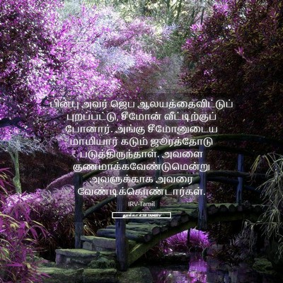 Picture 05 - லூக்கா 4:38 TAMIRV - பின்பு அவர் ஜெப - Bible Verse Picture