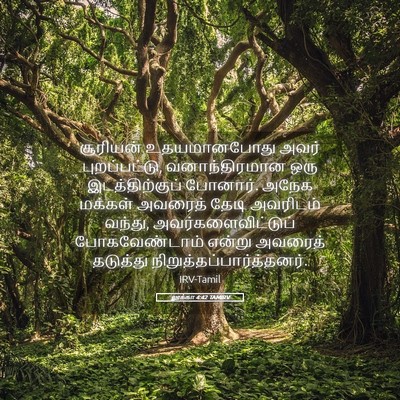 Picture 05 - லூக்கா 4:42 TAMIRV - சூரியன் - Bible Verse Picture