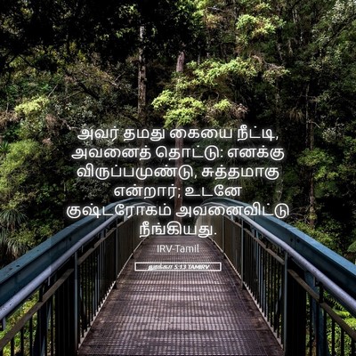 Picture 05 - லூக்கா 5:13 TAMIRV - அவர் தமது கையை - Bible Verse Picture