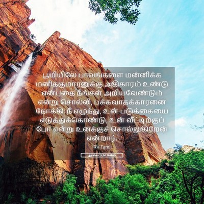 Picture 05 - லூக்கா 5:24 TAMIRV - பூமியிலே பாவங்களை - Bible Verse Picture