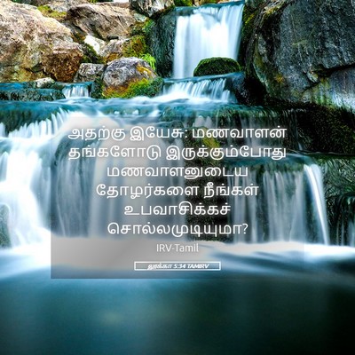 Picture 05 - லூக்கா 5:34 TAMIRV - அதற்கு இயேசு: - Bible Verse Picture