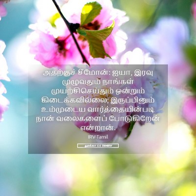 Picture 05 - லூக்கா 5:5 TAMIRV - அதற்குச் சீமோன்: - Bible Verse Picture