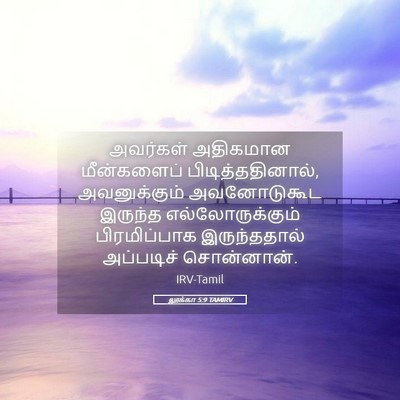 Picture 05 - லூக்கா 5:9 TAMIRV - அவர்கள் அதிகமான - Bible Verse Picture