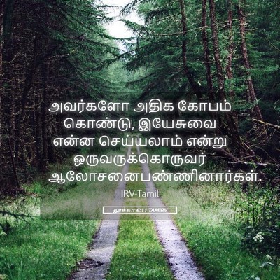 Picture 05 - லூக்கா 6:11 TAMIRV - அவர்களோ அதிக - Bible Verse Picture