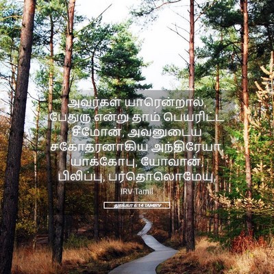 Picture 05 - லூக்கா 6:14 TAMIRV - அவர்கள் - Bible Verse Picture