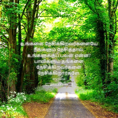 Picture 05 - லூக்கா 6:32 TAMIRV - உங்களை - Bible Verse Picture