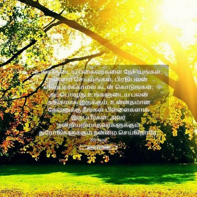 Picture 05 - லூக்கா 6:35 TAMIRV - உங்களுடைய - Bible Verse Picture