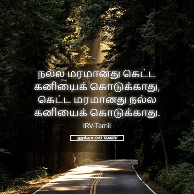 Picture 05 - லூக்கா 6:43 TAMIRV - நல்ல மரமானது - Bible Verse Picture