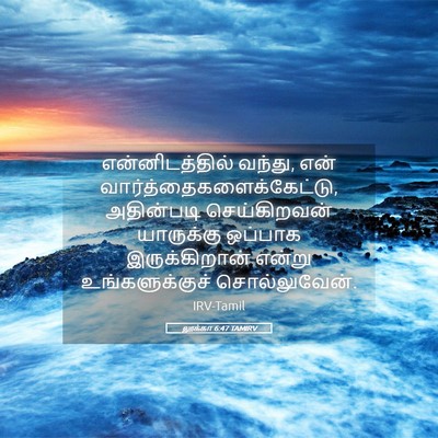 Picture 05 - லூக்கா 6:47 TAMIRV - என்னிடத்தில் - Bible Verse Picture