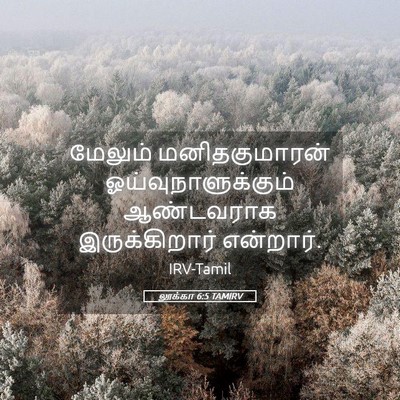 Picture 05 - லூக்கா 6:5 TAMIRV - மேலும் - Bible Verse Picture