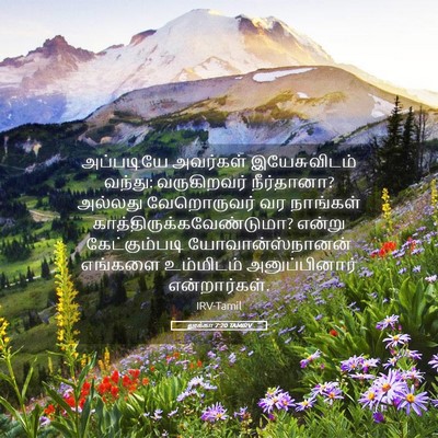 Picture 05 - லூக்கா 7:20 TAMIRV - அப்படியே அவர்கள் - Bible Verse Picture